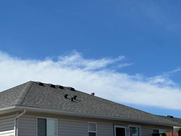 Best Cold Roofs  in New Braunfels, TX